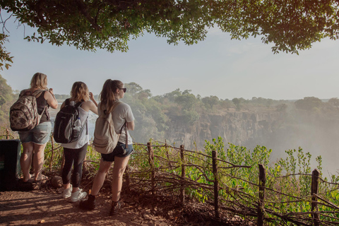 From Livingstone: Private Tour of Victoria Falls, Zimbabwe