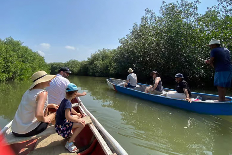 Cartagena: Day at Playa Tranquila + Snorkeling + Mangrove Walk and Raccoons Cartagena: Day Trip to a Quiet Beach + Snorkeling + Mangrove Walk