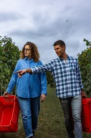 Alba (Grinzane Cavour): Tour durch die Weinberge, Weinkeller und Verkostung Alba (Grinzane Cavour): Tour durch die Weinberge, Weinkeller und Verkostung