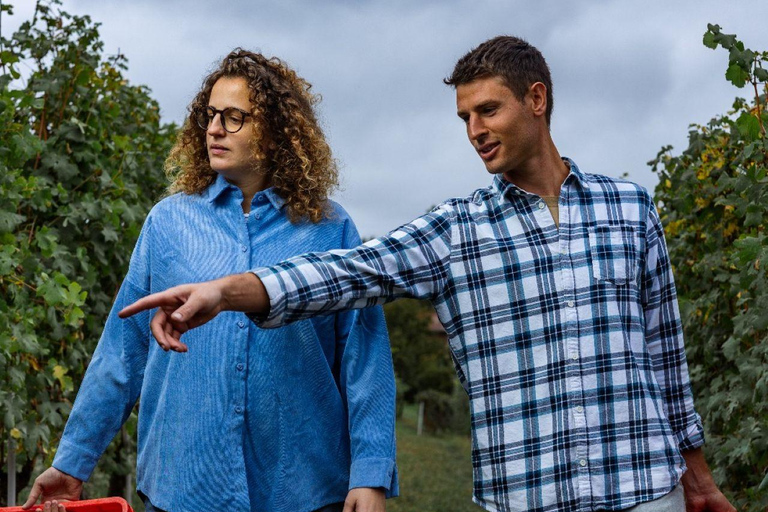 Alba (Grinzane Cavour): Vineyard, Winery, and Tasting Tour Full tour and tasting of 4 wines - Alba near Grinzane Cavour