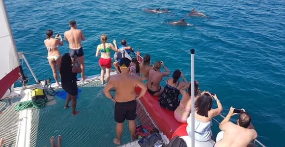 Hammamet: Catamaran Cruise & Hotel Pickup & fruits and drink