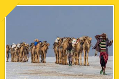 7 Tage Denakil Depressionen und Tigray Kirchen