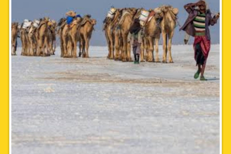 7 Tage Denakil Depressionen und Tigray Kirchen