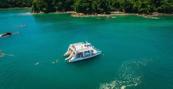 A white catamaran sailing beside the forested Pacific coast