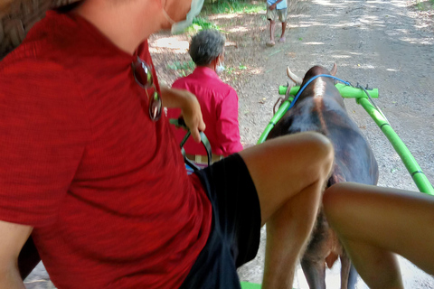 From Kandy: Sigiriya Rock Fortress & Dambulla Day Trip