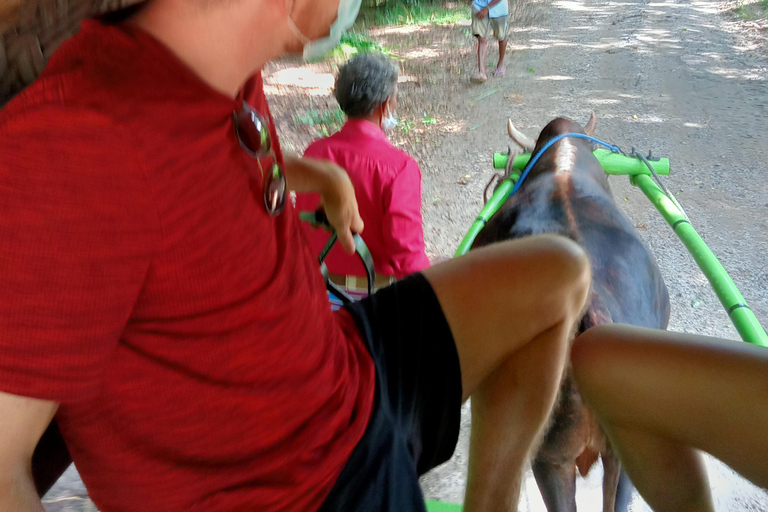 From Kandy: Sigiriya Rock Fortress & Dambulla Day Trip