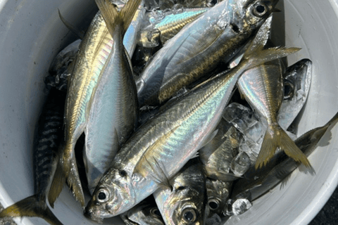 Tokyo: Fishing Adventure & Japanese Cuisine with Your Catch