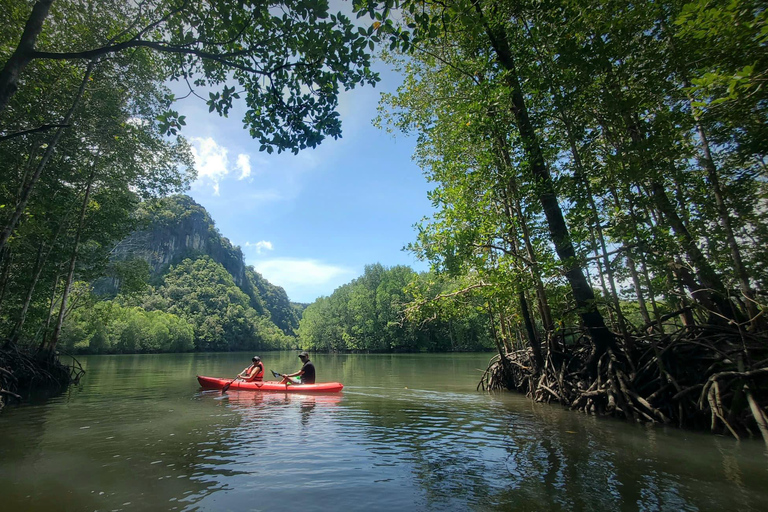 Langkawi : Mangrove kajaktour met lunch (ochtend)