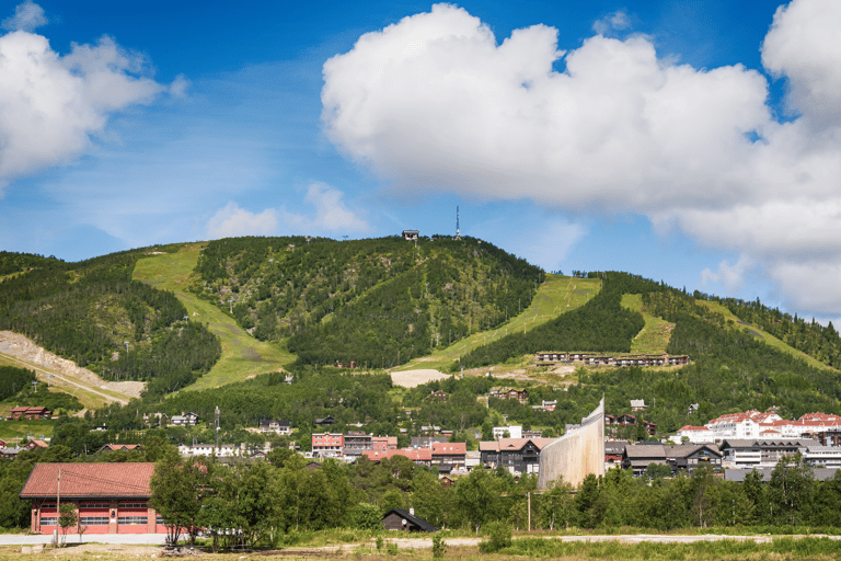 Tåg- och bussresa till Oslo: Tåg- och busstur till Bergen via Hardangervidda/Fjorden