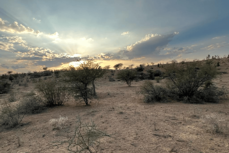 Tour di mezza giornata a piedi nel deserto di Jodhpur, Rajasthan, con Sumer