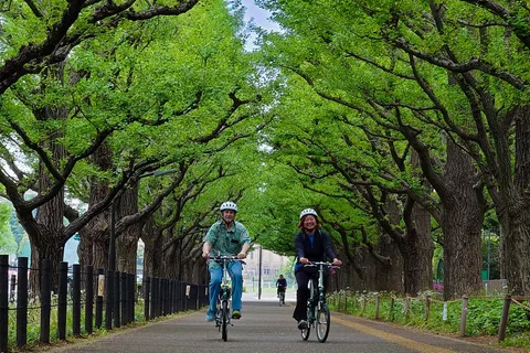 東京ホテルから出発する3時間のプライベートEバイクツアー
