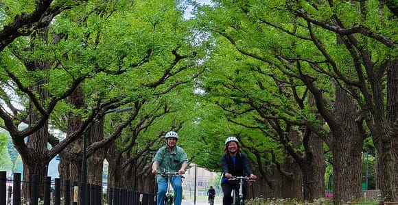 Tokio: 3h private E-Bike Touren, beginnend an deinem Hotel