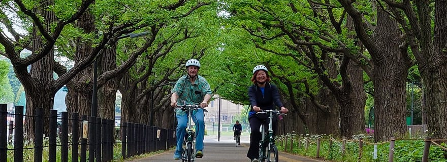 Tokyo : 3h de visites privées en E-bike, au départ de votre hôtel.