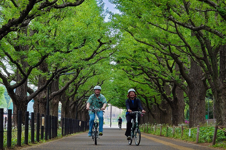 Tokyo : Visite privée de 3h à vélo électrique au départ de votre hôtel.