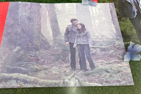 Small Group: Olympic Park & Forks Day Trip From Seattle