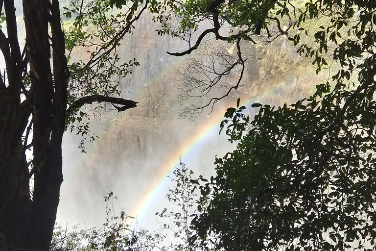 Victoria falls Rainforest: Guided Sunrise, day & sunset Tour