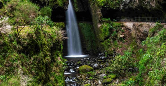 Levada Moinho and Levada Nova: Guided hiking tour