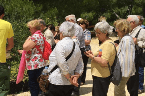 Ecoherbes - Visita guiada ao jardim botânico