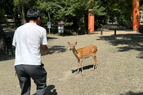 Nara: Ontdek elk stukje van de Tohdaiji-Tempel in 2 uur