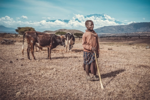 Ab Moshi: Massai-Dorf und heiße Quellen mit Mittagessen