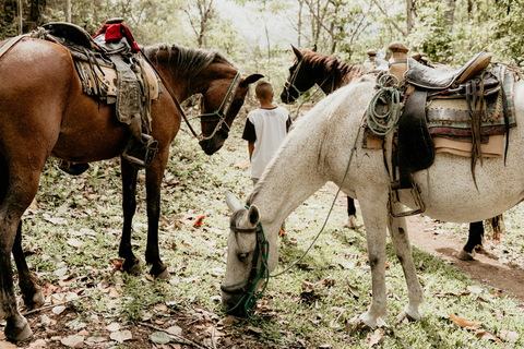 San Juan La Laguna: Horseback Riding in Coffee Plantations