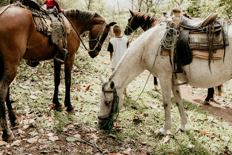 San Juan La Laguna: Horseback Riding in Coffee Plantations
