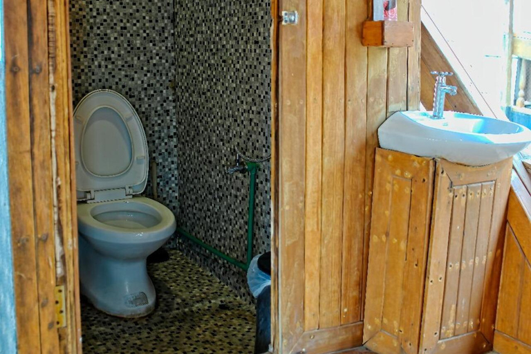 Doha from the Persian Sea: Dinner Cruise & Live BBQ onboard Dhow Cruise Tour without dinner from meeting point