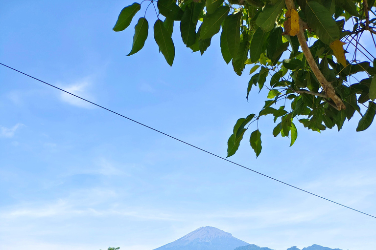 Yogyakarta: Dolda vattenfall och risfält Liten grupp ...