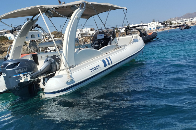 Mykonos : croisière privée le long de la célèbre côte sud