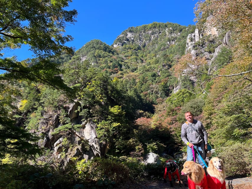 Kamakura Tour de medio día con un local - Hizvo