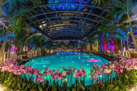 Bucharest: Therme Bucuresti Entry Ticket with Transfer