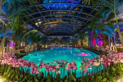 Bukarest: Therme Bucuresti entrébillet med transfer