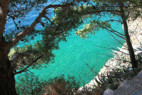 Desde Sorrento: Excursión de un día entero a la Costa Amalfitana