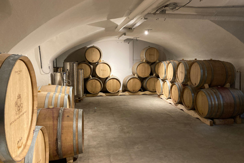 Lyon: Tour and Wine Tasting at Chai Saint Olive Lyon: Tour and Food Tasting at Chai Saint Olive
