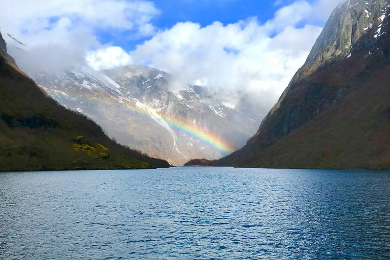 Tåg- och bussresa till Oslo: Tåg- och busstur till Bergen via Hardangervidda/Fjorden