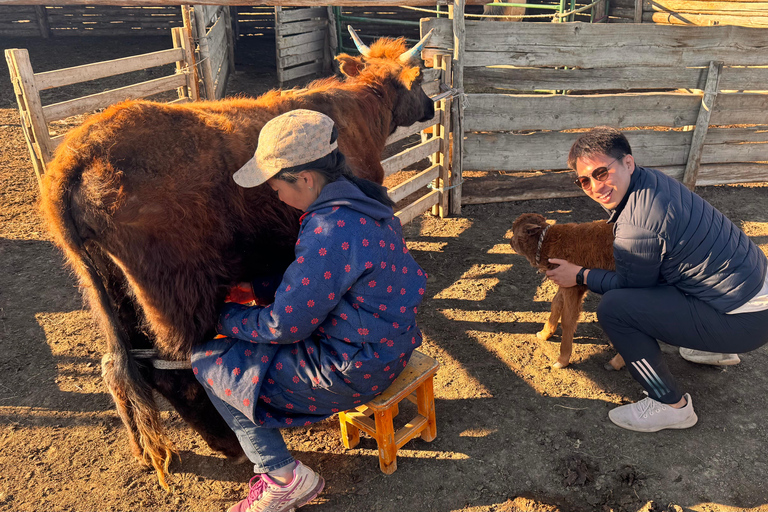 Nomad Family Home Stay in Arkhangai Province