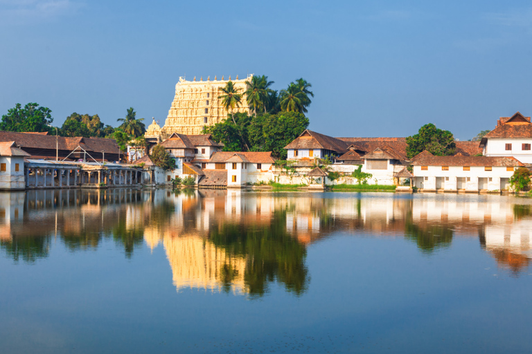 From Kochi: Munnar Private Day Trip with Tea Museum Visit