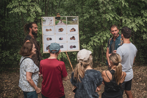 Truffle Hunting in San Gimignano opz1