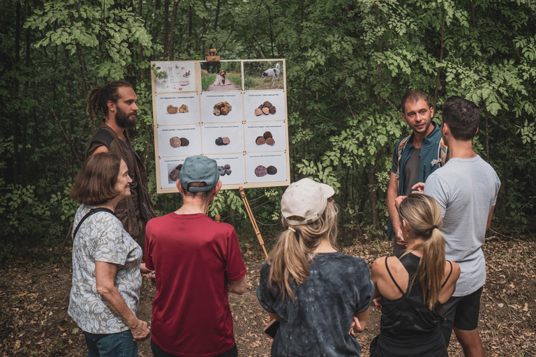 Truffle Hunting in San Gimignano opz1