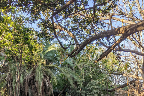 Day Trip: Materuni Waterfalls, Coffee, Springs & Maasai