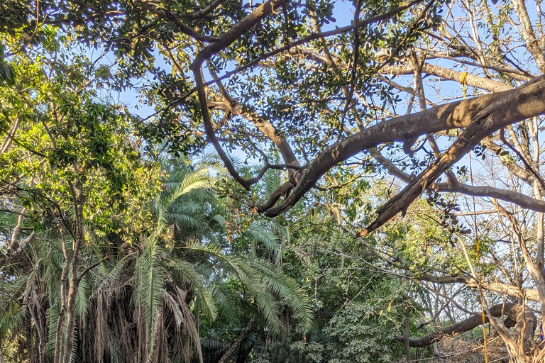 Day Trip: Materuni Waterfalls, Coffee, Springs & Maasai