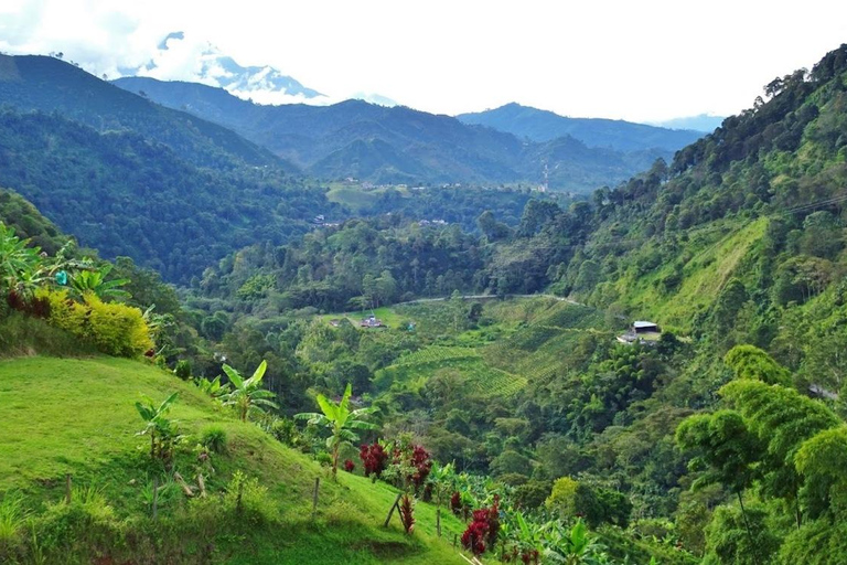 MEDELLIN : VISITE DES JARDINS + ANDES (VUE PANORAMIQUE) + ÉLEVAGE DE TRUITES