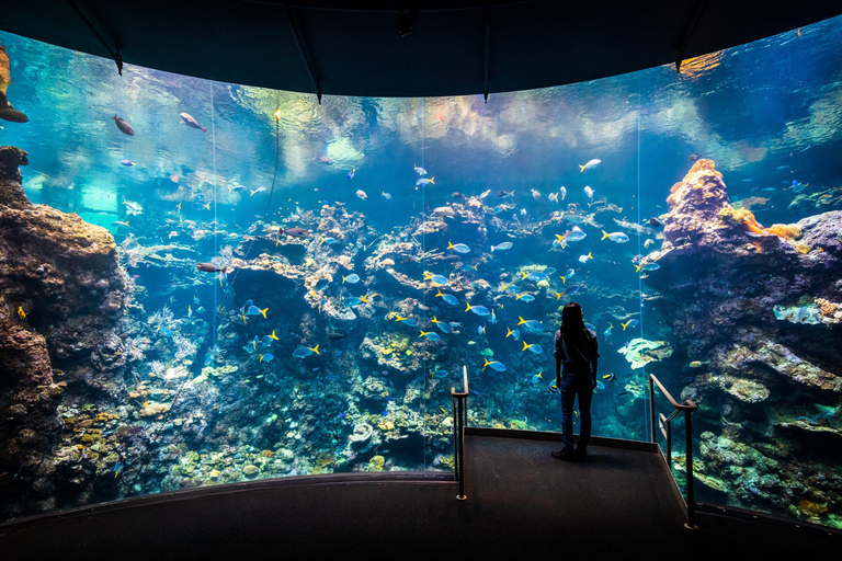 SF: CA Academy of Sciences & Hop-on Hop-off Tour (Save 15%)