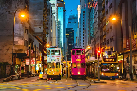 Hong Kong: Airport (HKG) Layover Private Tour
