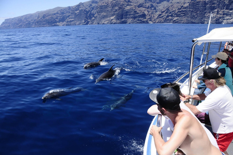 Los Gigantes: Wal- oder Delfinbeobachtungstour und Baden in Masca