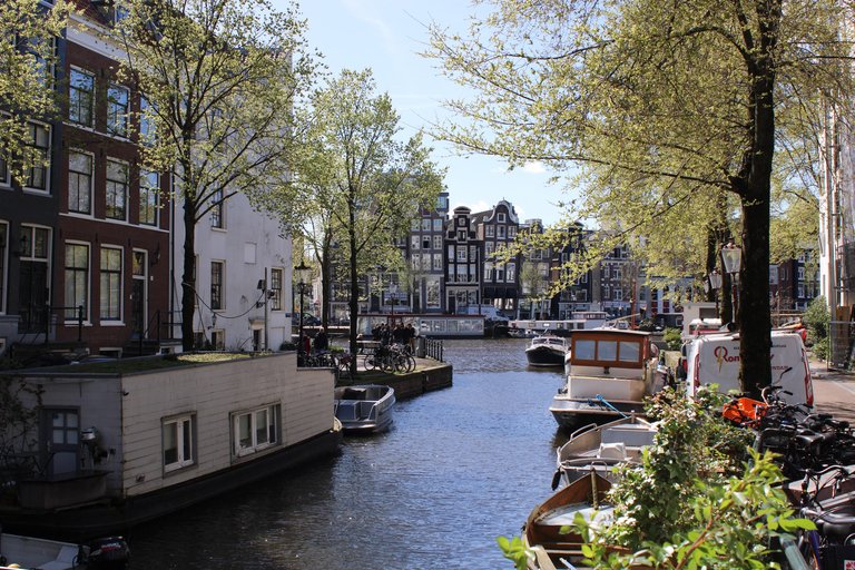 Amsterdam: Layover Flight Private Guided Tour (3h, 4h or 5h) Amsterdam Private Guided Tour for Layover Flight 4 hours