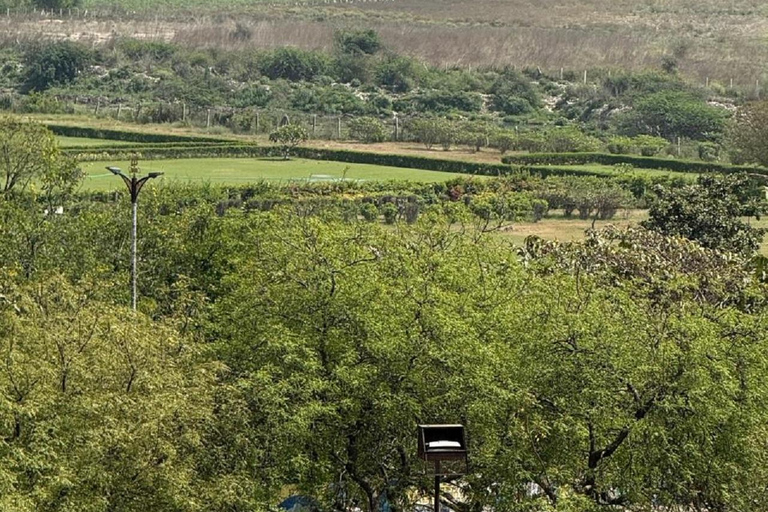 From Delhi: Taj Mahal Day Trip by AC Car with 5-Star Lunch All-Inclusive Tour: AC Car, Guide, 5-Star Meal & Tickets