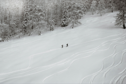 Lucerna: Aventura de senderismo con raquetas de nieve a Glaubenberg LangisLucerna: Aventura de senderismo con raquetas de nieve hasta Glaubenberg Langis