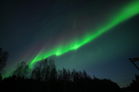 Rovaniemi: Coffee under Northern Lights & Professional Photo
