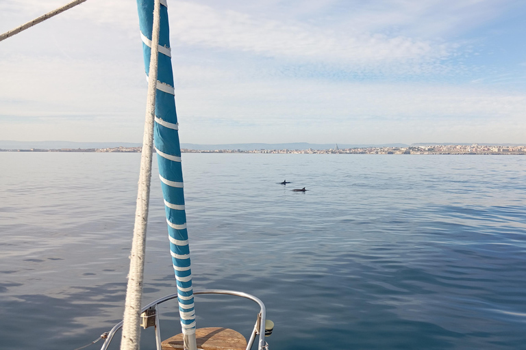 Syracuse: Snorkeling Excursions by Sailboat to Plemmirio Syracuse: Snorkeling Excursions by Sailboat at Plemmirio